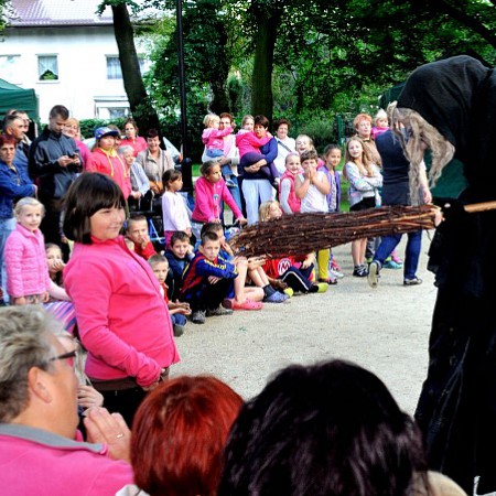 Wyświetl org. rozmiar