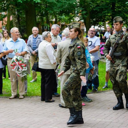 Wyświetl org. rozmiar