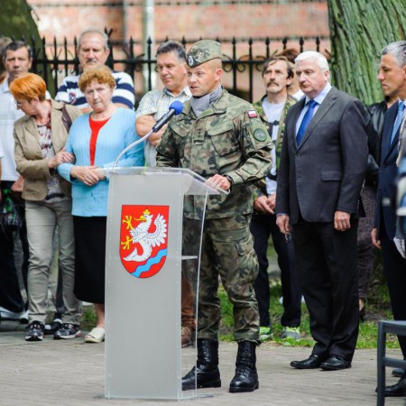Wyświetl org. rozmiar