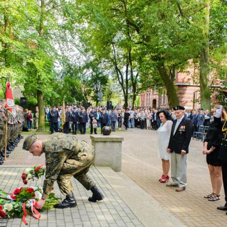 Wyświetl org. rozmiar