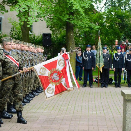 Wyświetl org. rozmiar