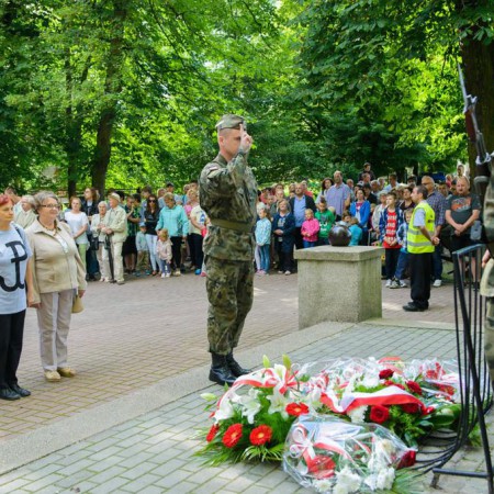 Wyświetl org. rozmiar