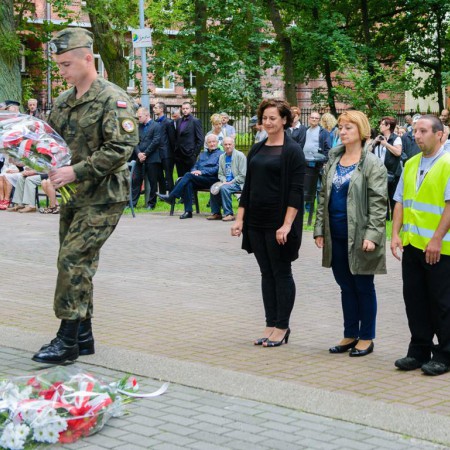 Wyświetl org. rozmiar
