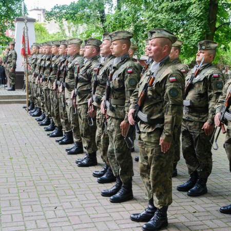 Wyświetl org. rozmiar