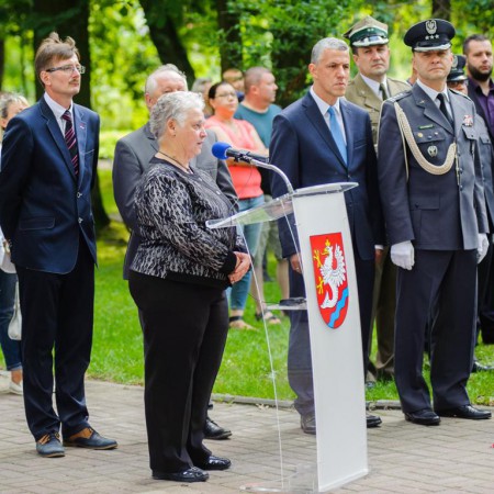 Wyświetl org. rozmiar