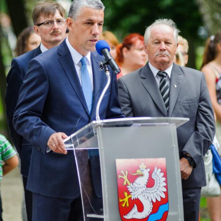 Wyświetl org. rozmiar
