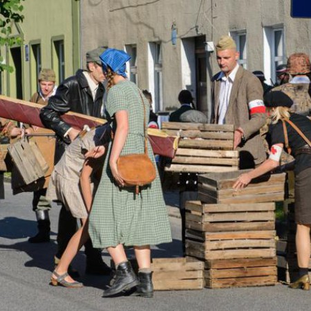 Wyświetl org. rozmiar