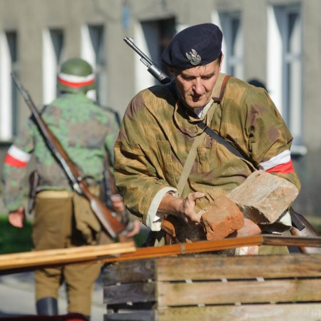 Wyświetl org. rozmiar