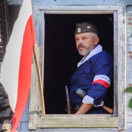 Wyświetl org. rozmiar