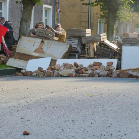 Wyświetl org. rozmiar