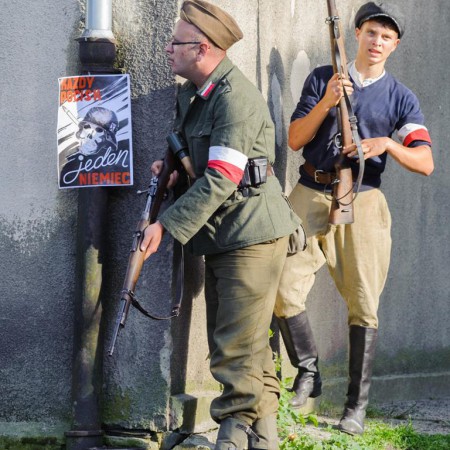 Wyświetl org. rozmiar