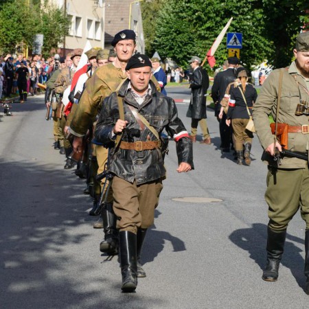Wyświetl org. rozmiar