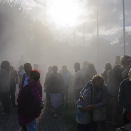Wyświetl org. rozmiar