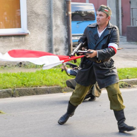 Wyświetl org. rozmiar