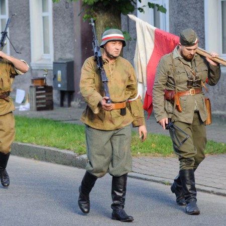 Wyświetl org. rozmiar