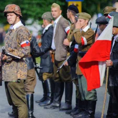 Wyświetl org. rozmiar