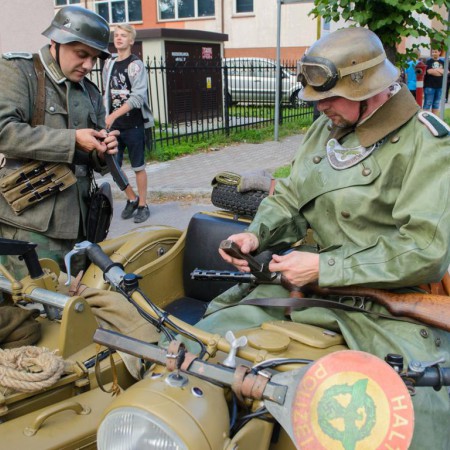 Wyświetl org. rozmiar