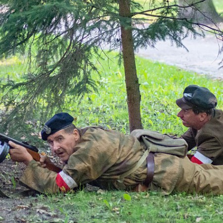 Wyświetl org. rozmiar
