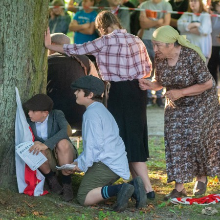 Wyświetl org. rozmiar