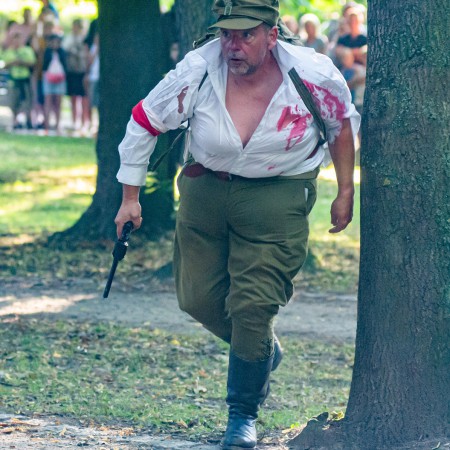 Wyświetl org. rozmiar