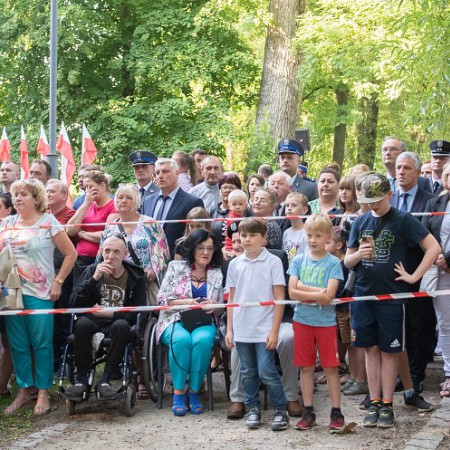 Wyświetl org. rozmiar