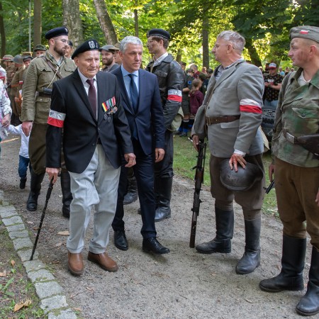 Wyświetl org. rozmiar