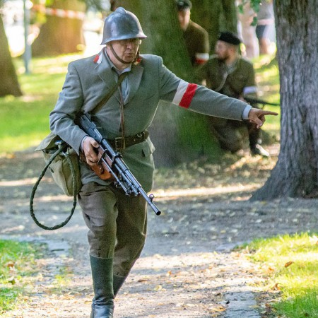 Wyświetl org. rozmiar