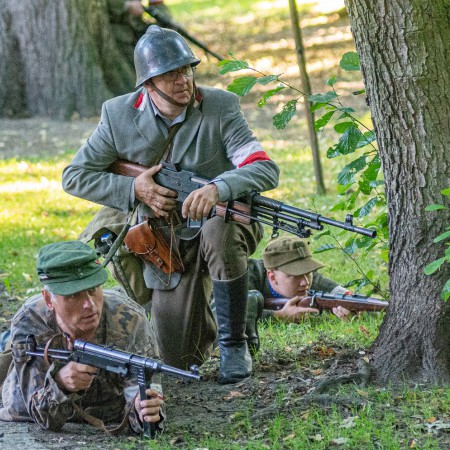 Wyświetl org. rozmiar