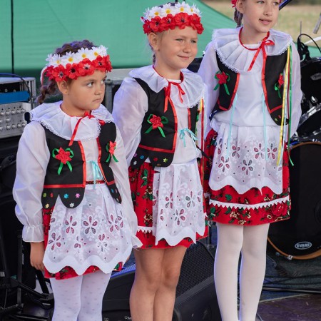 Wyświetl org. rozmiar