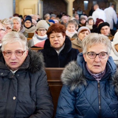 Wyświetl org. rozmiar