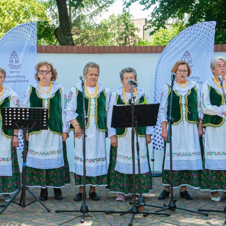 Wyświetl org. rozmiar