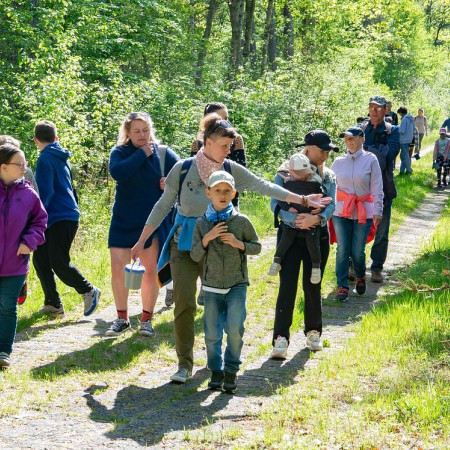 Wyświetl org. rozmiar