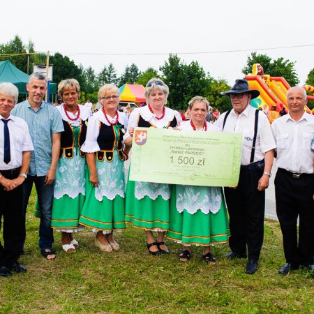 Wyświetl org. rozmiar