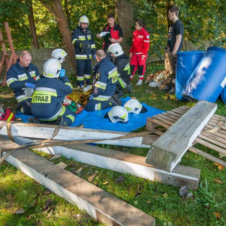 Wyświetl org. rozmiar