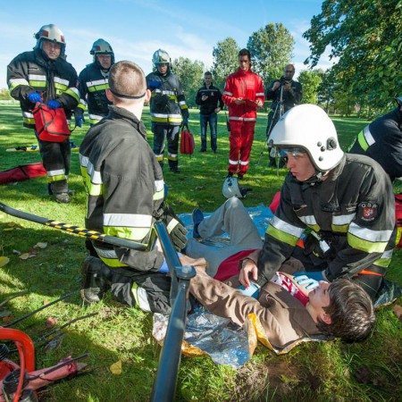 Wyświetl org. rozmiar