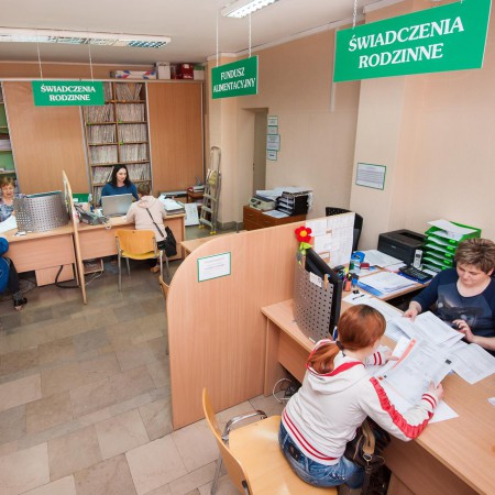Wyświetl org. rozmiar