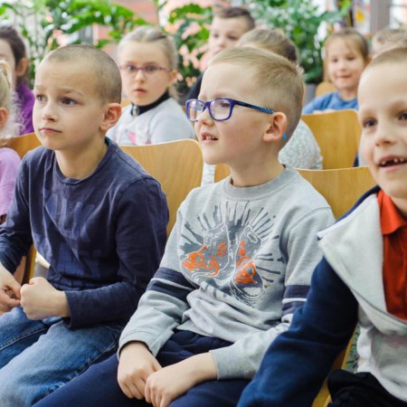Wyświetl org. rozmiar
