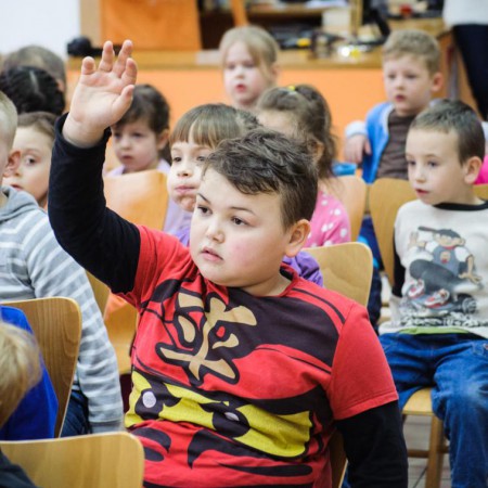Wyświetl org. rozmiar