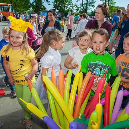 Wyświetl org. rozmiar