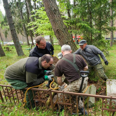 Wyświetl org. rozmiar