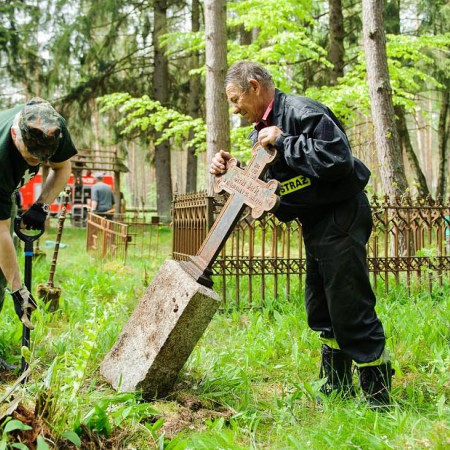 Wyświetl org. rozmiar