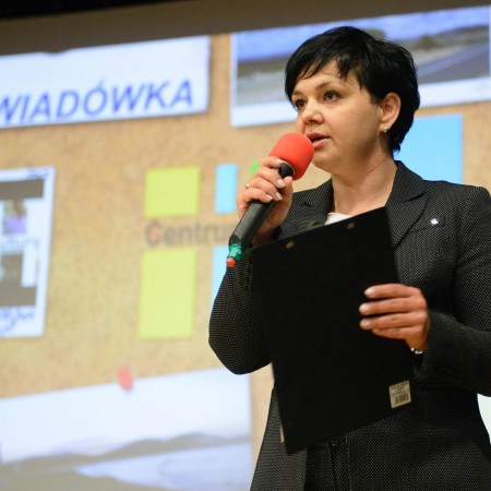 Wyświetl org. rozmiar