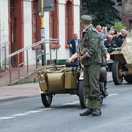 Wyświetl org. rozmiar