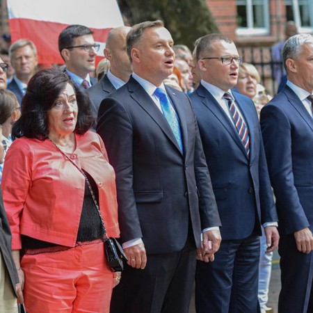 Wyświetl org. rozmiar