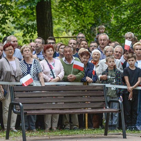 Wyświetl org. rozmiar