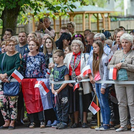 Wyświetl org. rozmiar