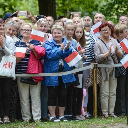 Wyświetl org. rozmiar