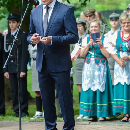 Wyświetl org. rozmiar