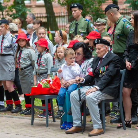 Wyświetl org. rozmiar