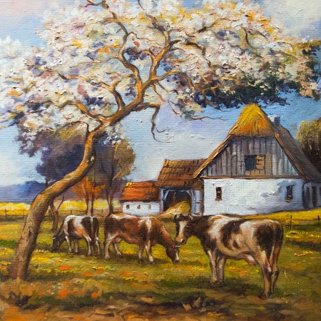 Wyświetl org. rozmiar